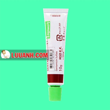 Oflovid mỡ® vs Gentacin® - Kháng sinh mỡ tra mắt hay “Gel trị sẹo” ? 6 Gentacin 10g