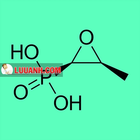 fosfomycin