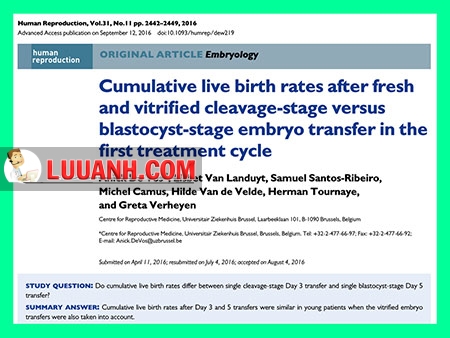 Đi làm IVF - chuyển phôi ngày 3 hay ngày 5 ? 4 ivf