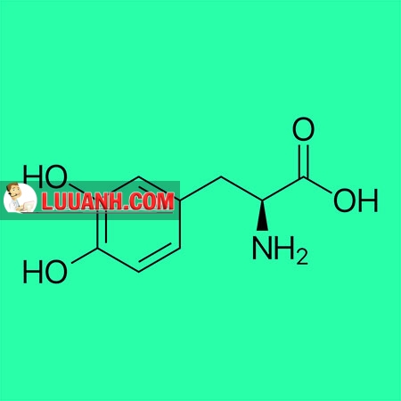 Thận trọng khi kê đơn và cấp phát sản phẩm có chứa levodopa 6 levodopa