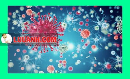 Oncolytic virus – thêm lựa chọn điều trị cho bệnh nhân ung thư 7 Oncolytic virus