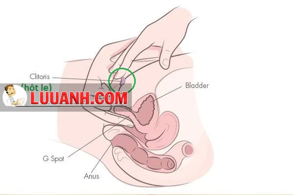 Hột le 10 Đàn ông nên vừa móc cua vừa kích thích hạt le