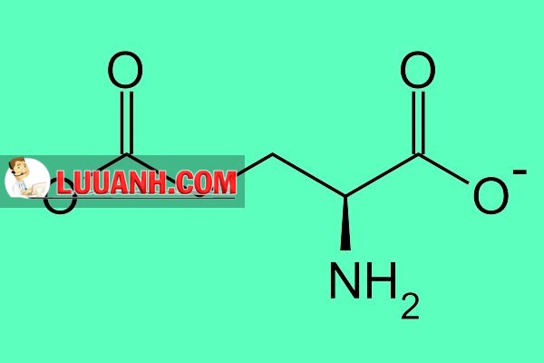 Công thức cấu tạo của glutamat