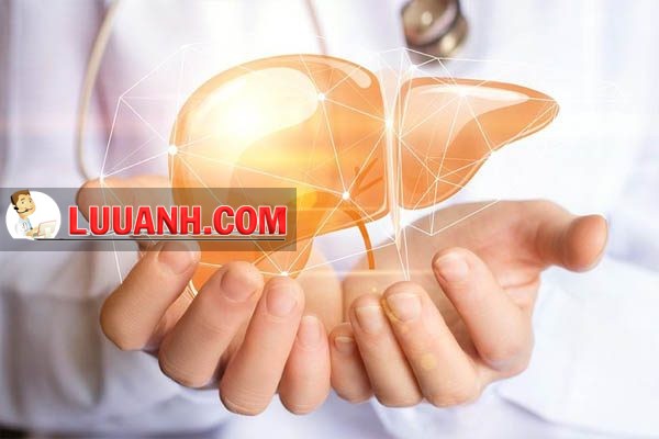 Glutathion bảo vệ tế bào gan