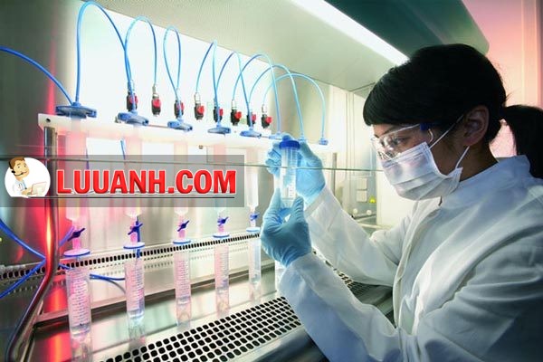 Thử nghiệm Hm8803 hiện đang mở thuốc NSAIDs