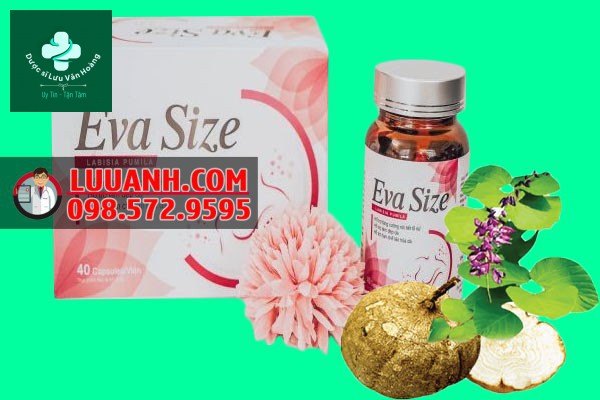 Viên uống Eva Size có tác dụng gì? Có tốt không, Giá bán, Địa chỉ mua 10 Thành phần Sâm tố nữ của Eva Size