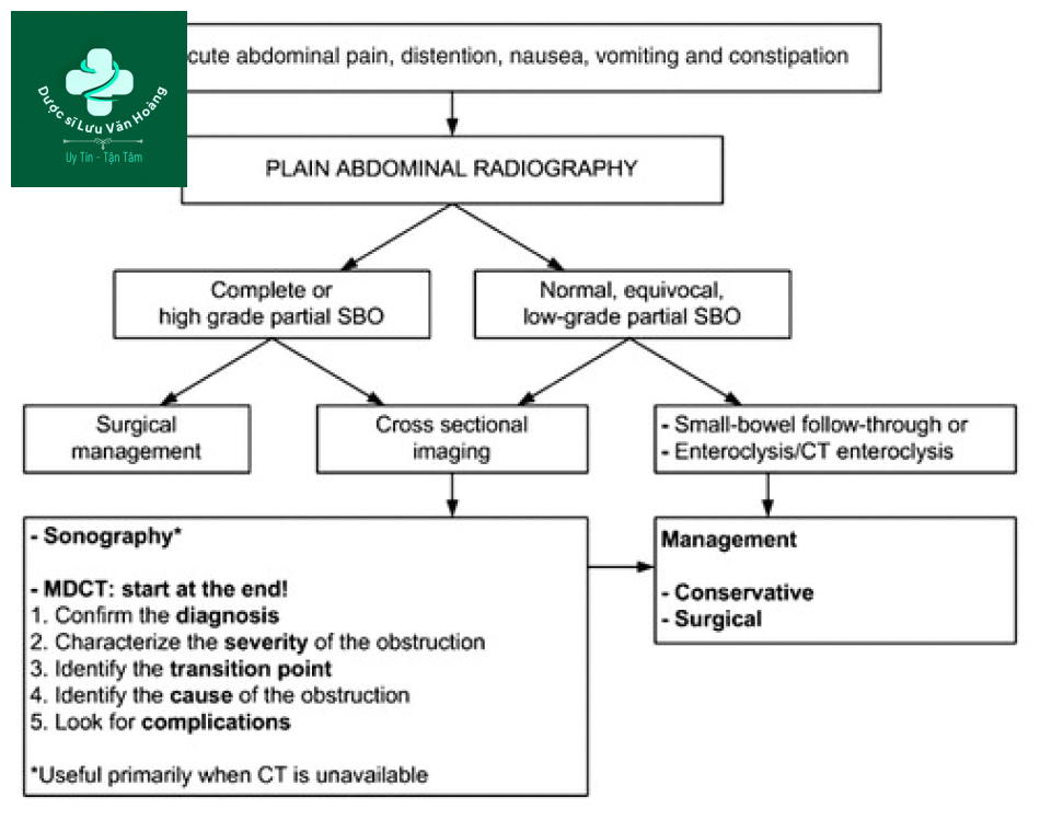 Tắc ruột non - Small Bowel Obstruction: What to Look For 34 Tac ruot non 1