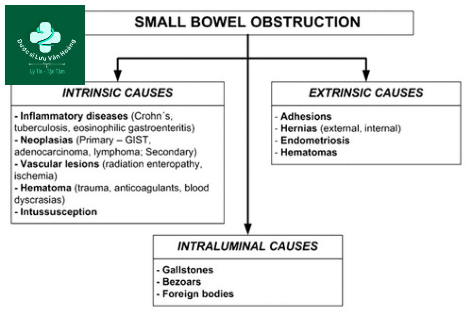 Tắc ruột non - Small Bowel Obstruction: What to Look For 41 Tac ruot non 8