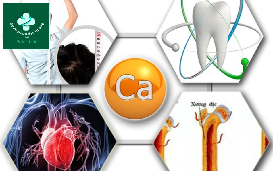 Tiêu chí vàng khi lựa chọn sản phẩm bổ sung canxi cho mọi đối tượng 6 Tác dụng của canxi đối với cơ thể