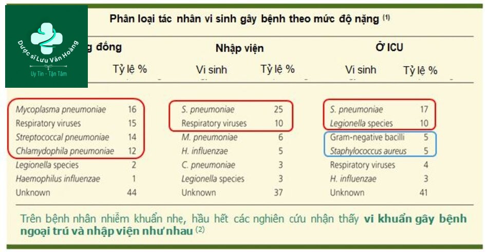 Hướng dẫn chẩn đoán và điều trị viêm phổi 56 Vi sinh gây bệnh trong viêm phổi cộng đồng