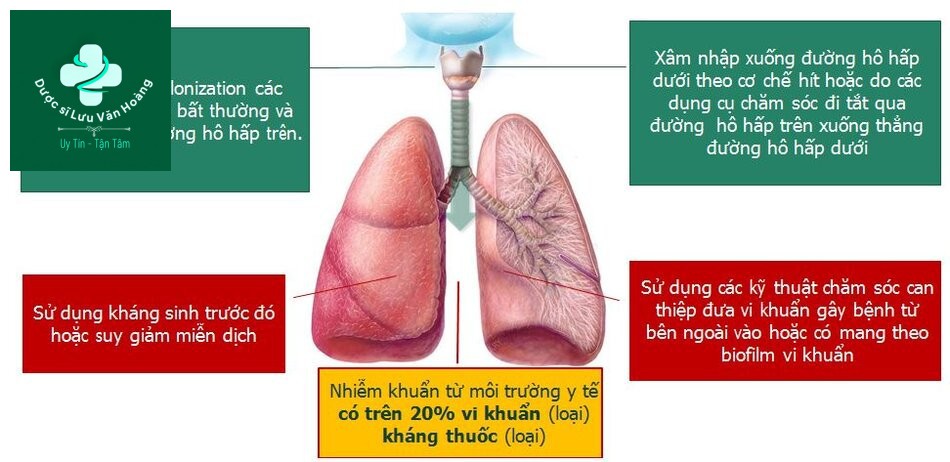 Hướng dẫn chẩn đoán và điều trị viêm phổi 61 Cơ chế gây bệnh vi khuẩn: Không phổ biến hay kháng thuốc