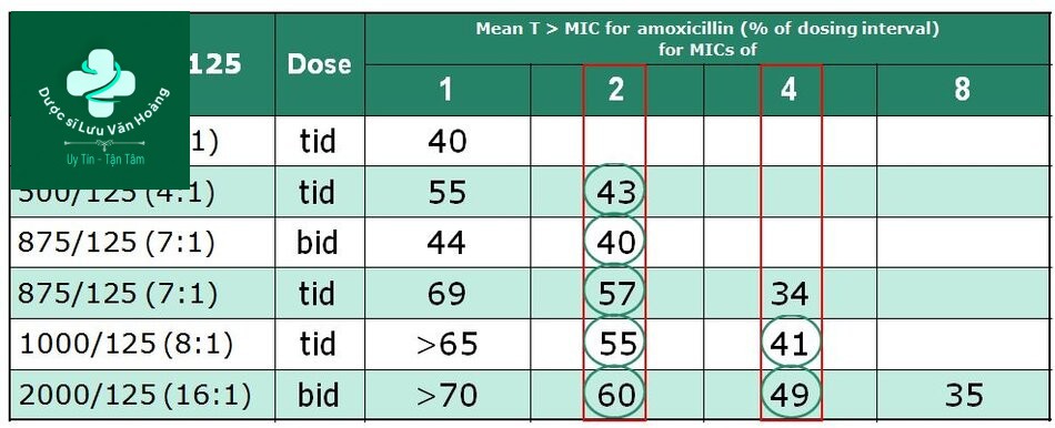 Hướng dẫn chẩn đoán và điều trị viêm phổi 69 Chọn liều Amoxicilline theo PK/PD (T/MIC)