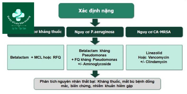 Hướng dẫn chẩn đoán và điều trị viêm phổi 77 Tiếp cận điều trị CAP nặng