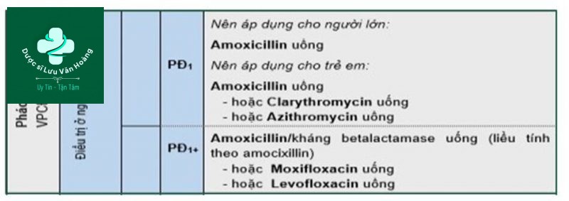 Hướng dẫn chẩn đoán và điều trị viêm phổi 78 Điều trị kháng sinh kinh nghiệm