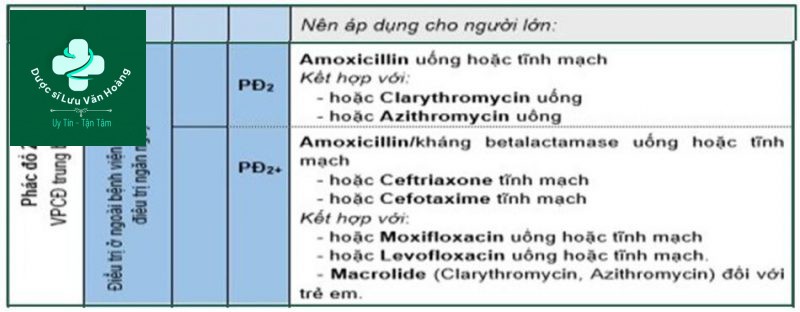 Hướng dẫn chẩn đoán và điều trị viêm phổi 79 Điều trị kháng sinh kinh nghiệm