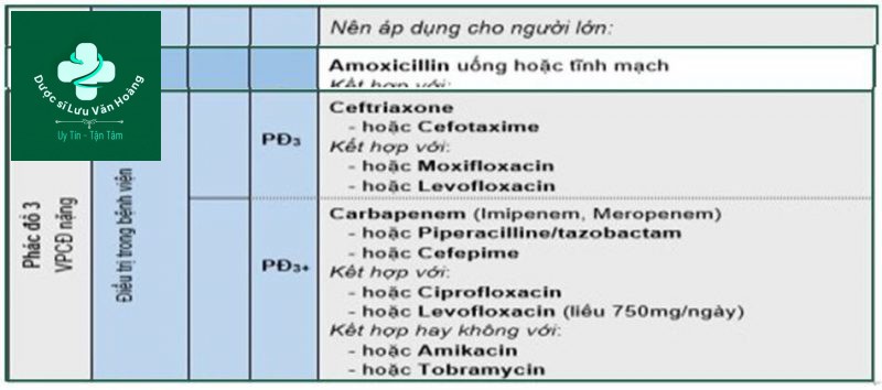 Hướng dẫn chẩn đoán và điều trị viêm phổi 80 Điều trị kháng sinh kinh nghiệm